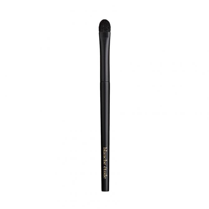 BRUSH 6