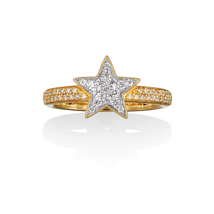 Half Eternity Etoile pave Ring (K18)