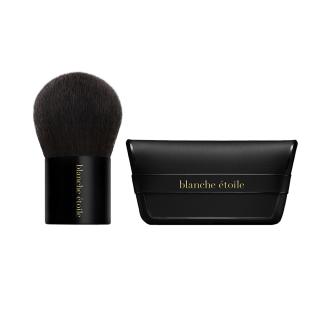 BRUSH 11-2